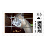 Hungry Horse postage
