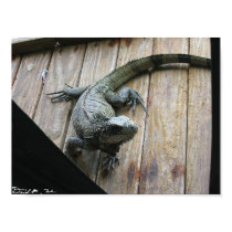 Hungry Iguana (cleanup) posters