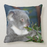 Hungry Koala Throw Pillow Hungry Koala Throw Pillow