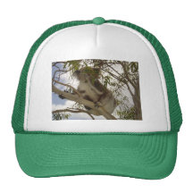 Hungry Koala Trucker Hat