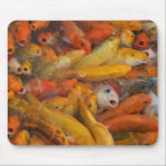 Hungry koi. Mouse mats. mousepads