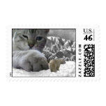 Hungry Louie! postage
