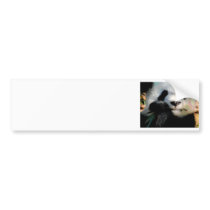 Hungry Panda Bumper Sticker