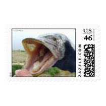 Hungry pike postage by Rainmountain Hungry pike postage