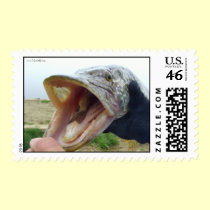 Hungry pike postage