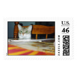 Hungry! postage