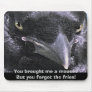 birds, ravens, crows, rooks, choughs, avian, mars,