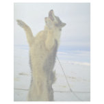 Hungry sled dog letterhead template