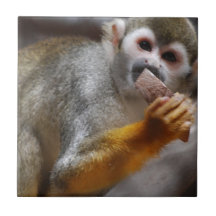 Hungry Squirrel Monkey Tile