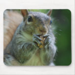Hungry Squirrel Mouse Pad