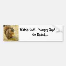 Hungry Squirrel Products Bumper Sticker