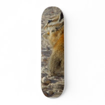 Hungry Squirrel skateboards by lifesphere Hungry Squirrel skateboards