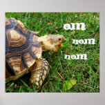 Hungry Tortoise - "Om nom nom" Poster