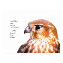 hunt by day postcards