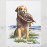 Hunt Golden Retriever Full Color Flyer