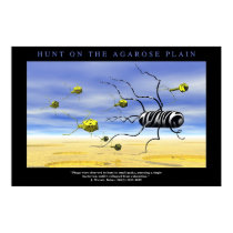 Hunt on the Agarose Plain posters by BioGeek Hunt on the Agarose Plain posters