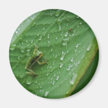 Hunter and Hunted Fridge Magnet