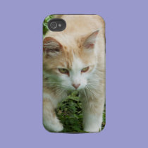 Hunter Cat iPhone 4 case casemate cases