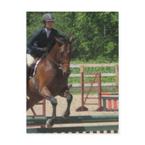 Hunter Horse Jumping Postcard