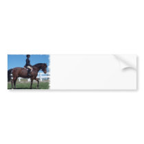 Hunter Horse Show Bumper Sticker
