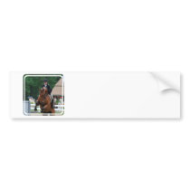 Hunter Horse Show Bumper Stickers