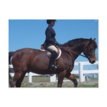 Hunter Horse Show Postcard