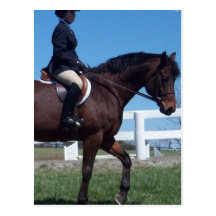 Hunter Horse Show Postcard