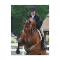 Hunter Horse Show Postcards