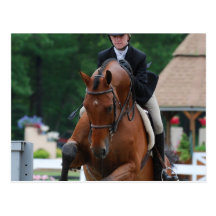 Hunter Horse Show Postcards