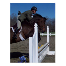 Hunter Jumper Horse Postcard