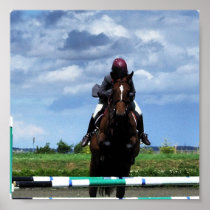 Hunter Jumper Horse Print