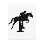 Hunter Jumper Horse &amp; Rider Post Card