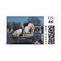 Hunter Jumper  Postage Stamp