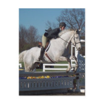 Hunter Jumper Postcard