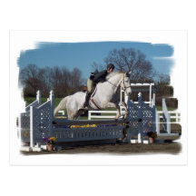 Hunter Jumper Postcard