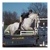 Hunter Jumper  Poster posters
