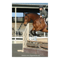 Hunter Jumper Poster 1 posters by EquineGal Hunter Jumper Poster 1 posters