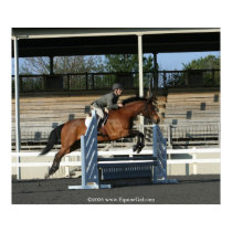 Hunter Jumper Poster 2 posters by EquineGal Hunter Jumper Poster 2 posters