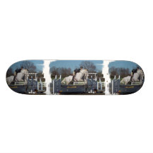 Hunter Jumper  Skateboard