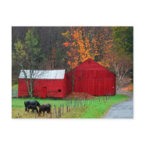 Hunter Mountain postcards