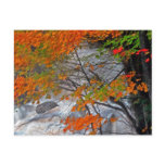 Hunter Mountain  Stream Postcard