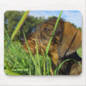 Hunter mousepads by Rainmountain Hunter mousepads