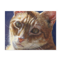 Hunter Orange Tabby Ginger cat painting art Post Cards