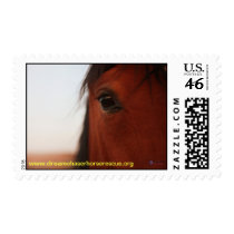 Hunter Stamps