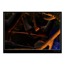 Hunter posters