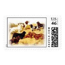 hunters delite stamps