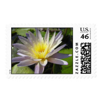 Hunter's Moon stamps