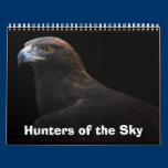 Hunters of the Sky calendars