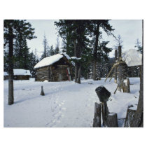 Hunter's shelter, Siberia Winter Custom Flyer