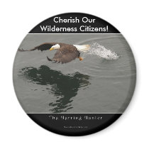 Hunting Bald Eagle Gift Item magnets